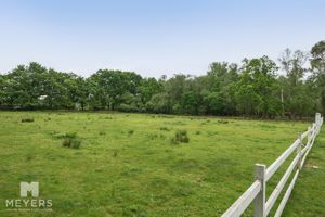 Paddock- click for photo gallery